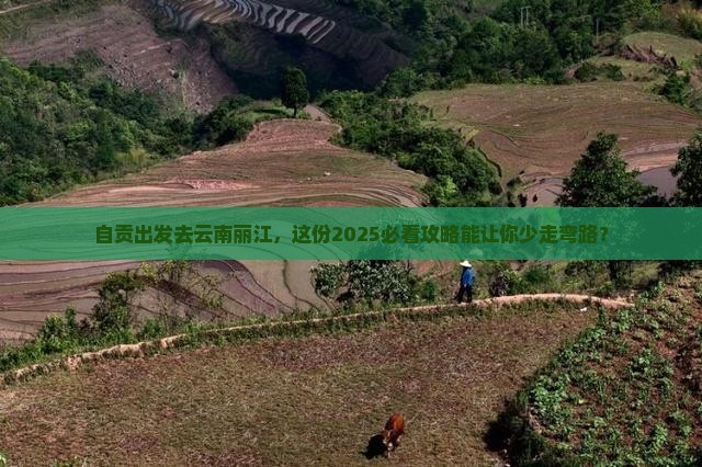 自贡去云南丽江旅游