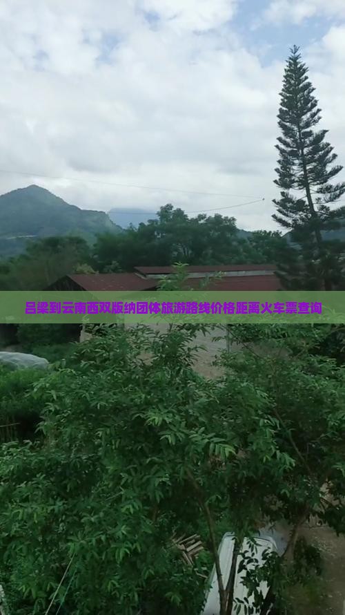 吕梁到云南西双版纳团体旅游