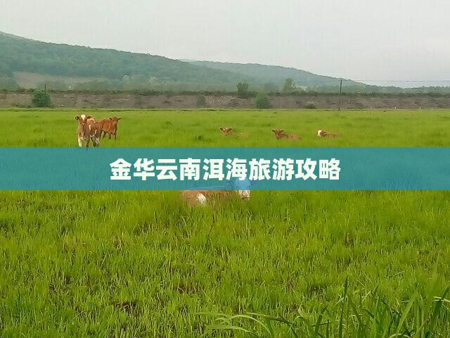 金华去云南洱海门票