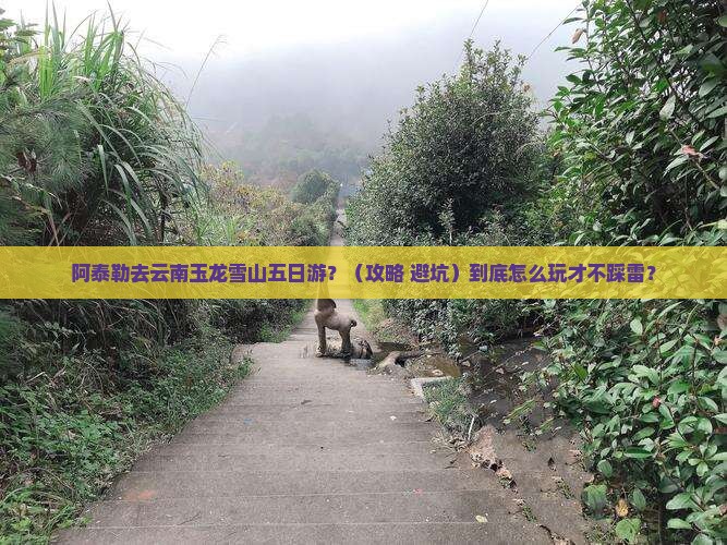 阿泰勒去云南玉龙雪山五日游