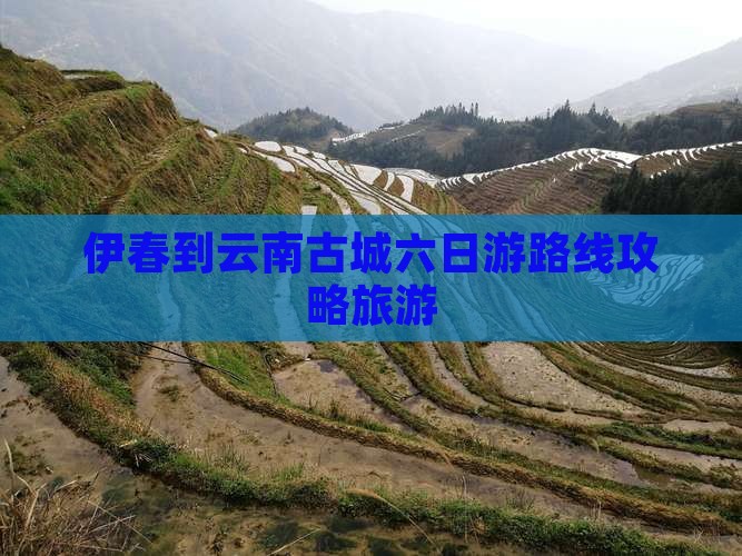 伊春去云南古城六日游