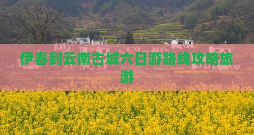伊春去云南古城六日游