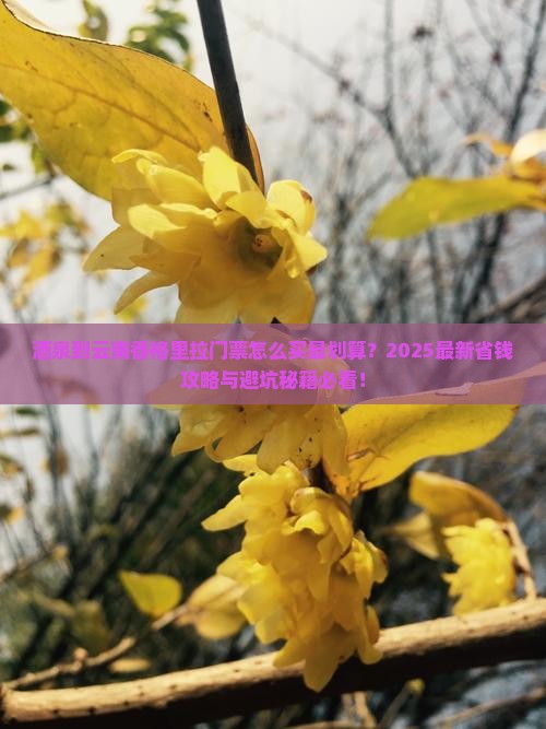 酒泉到云南香格里拉门票