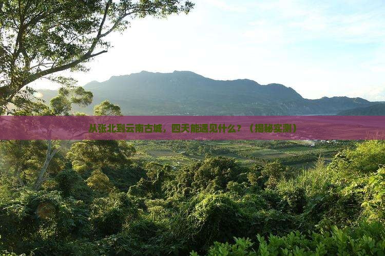张北到云南古城四日游