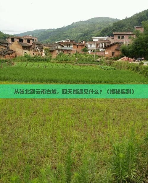 张北到云南古城四日游