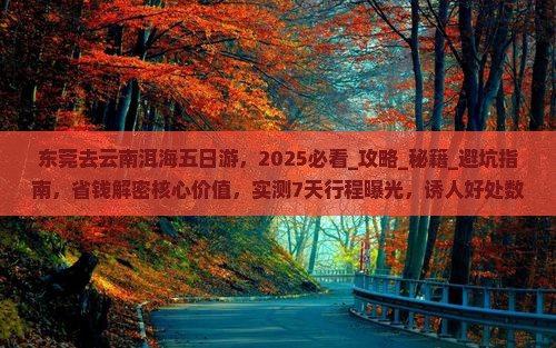 东莞去云南洱海五日游