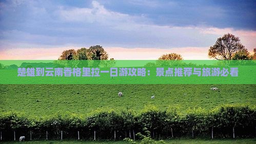 楚雄到云南香格里拉一日
