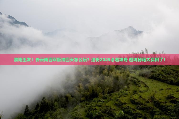 濮阳去云南西双版纳四日游