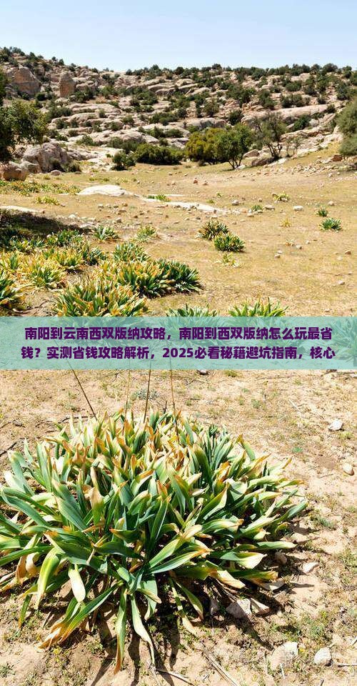 南阳到云南西双版纳攻略