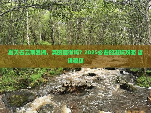 夏天去云南洱海攻略