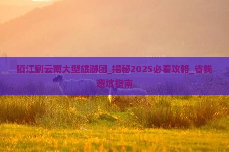 镇江到云南大型旅游团