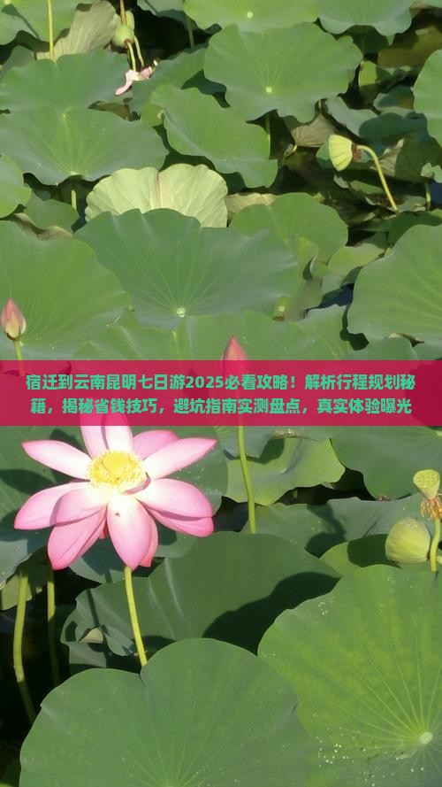 宿迁到云南昆明七日游