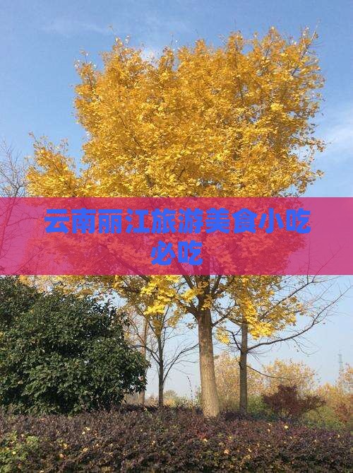 喀什去云南丽江旅游小吃