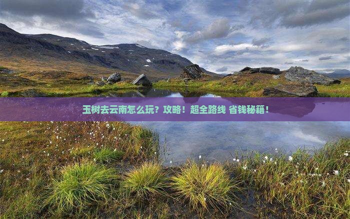 玉树去云南攻略