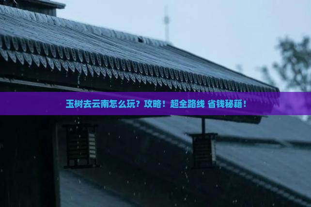 玉树去云南攻略