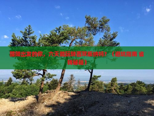 醴陵到云南西双版纳六日游
