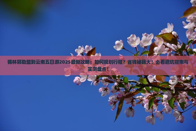 锡林郭勒盟到云南五日游