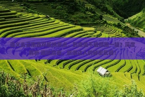 遵义去云南西双版纳景点