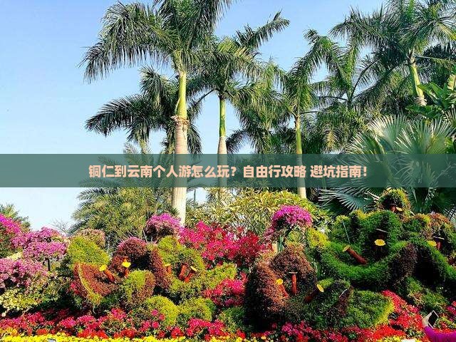 铜仁到云南个人游