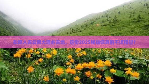 松原去云南大理必去地