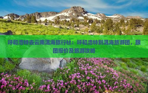 呼和浩特去云南洱海旅行社