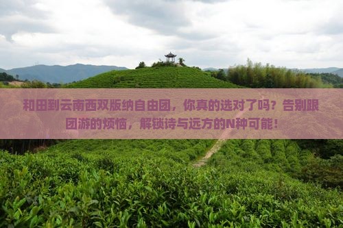 和田到云南西双版纳自由团