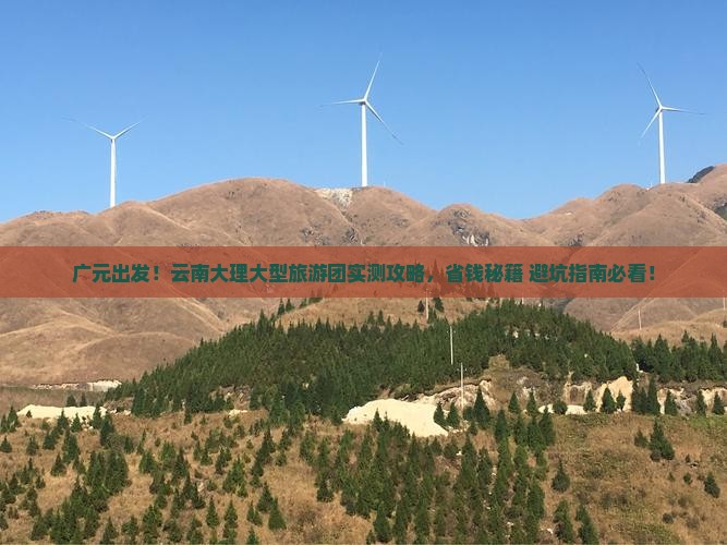 广元到云南大理大型旅游团