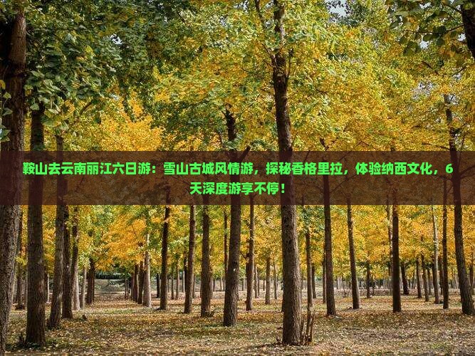 鞍山去云南丽江六日游