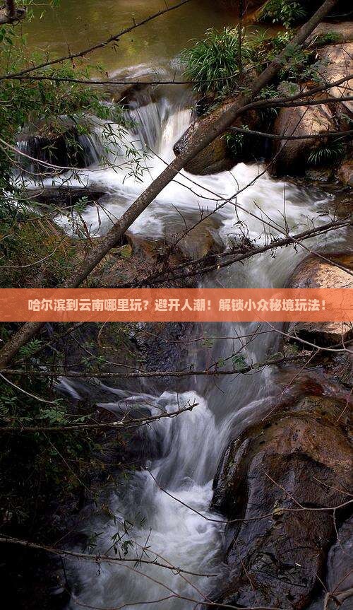 哈尔滨到云南哪里玩