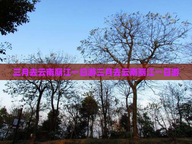 三月去云南丽江一日