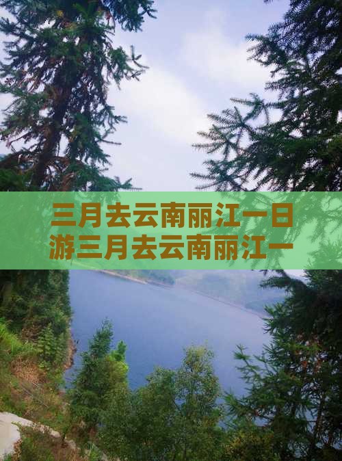 三月去云南丽江一日