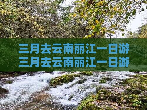 三月去云南丽江一日