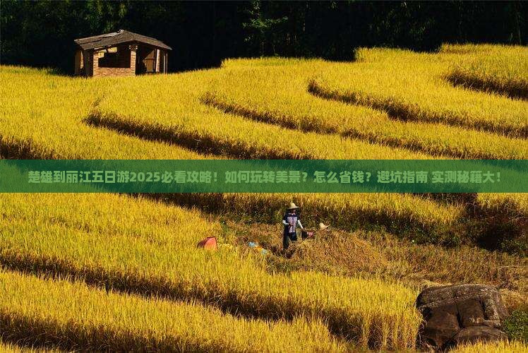 楚雄到云南丽江五日游