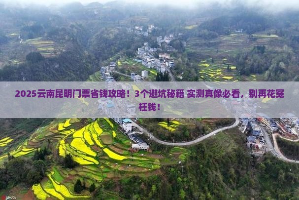 阿里去云南昆明门票