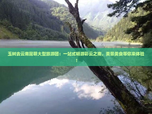 玉树去云南昆明大型旅游团