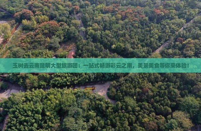玉树去云南昆明大型旅游团