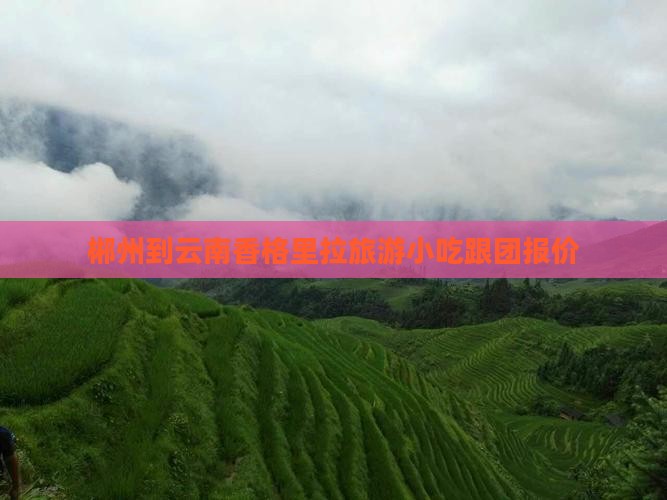 郴州到云南香格里拉旅游小吃