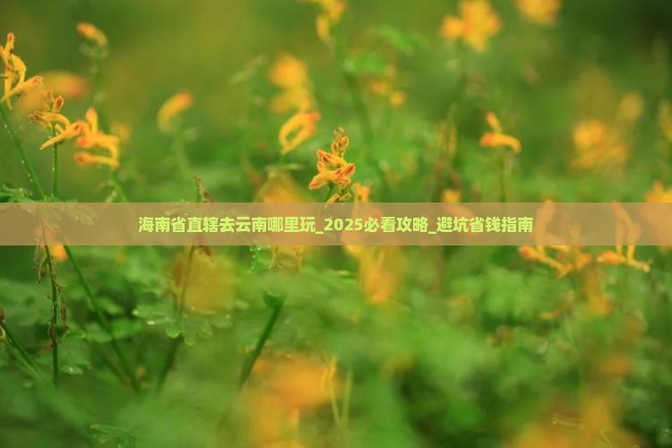 海南省直辖去云南哪里玩