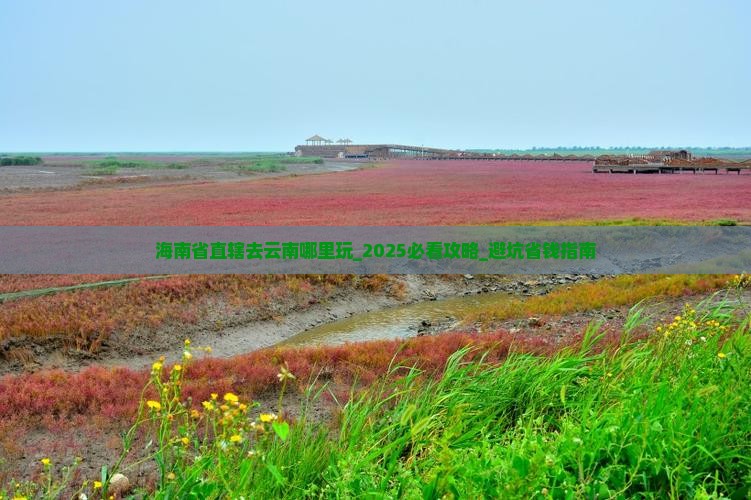 海南省直辖去云南哪里玩