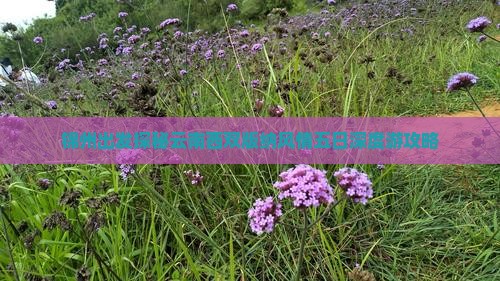 锦州出发探秘云南西双版纳风情五日深度游攻略
