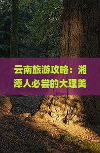 云南旅游攻略：湘潭人必尝的大理美食与特色小吃推荐