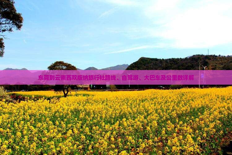 东莞到云南西双版纳旅行社路线、自驾游、大巴车及公里数详解