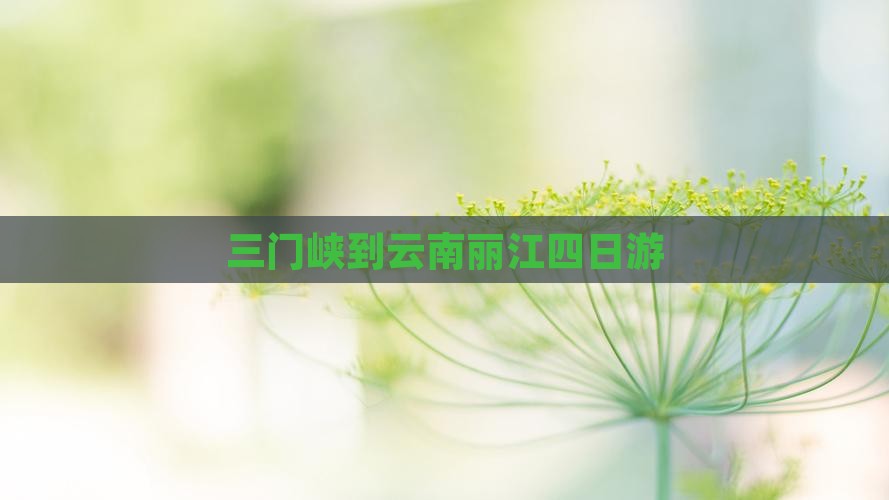 三门峡到云南丽江四日游
