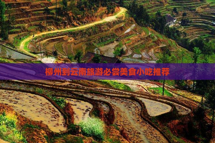 柳州到云南旅游必尝美食小吃推荐