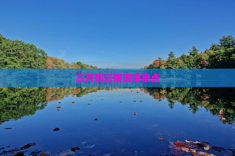 三月到云南洱海景点