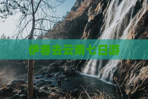 伊春去云南七日游