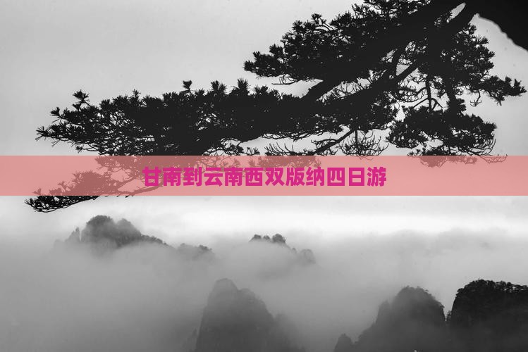 甘南到云南西双版纳四日游