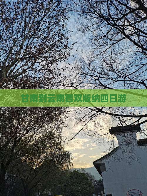 甘南到云南西双版纳四日游