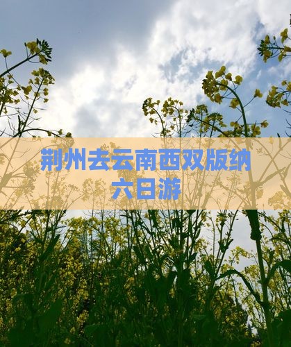 荆州去云南西双版纳六日游