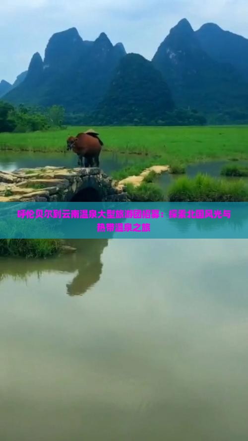 呼伦贝尔到云南温泉大型旅游团招募：探索北国风光与热带温泉之旅
